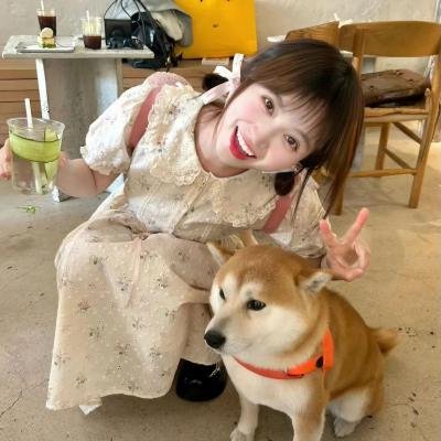 严重无视